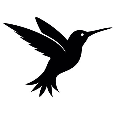 Beyaz arkaplanda kuş vektör çizimi