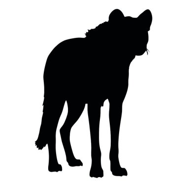 beyaz zemin üzerinde kurt siluet