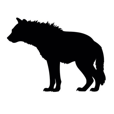 beyaz zemin üzerinde kurt siluet