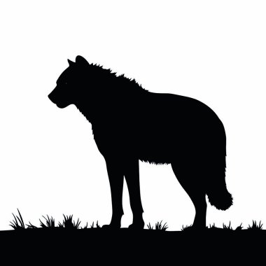 Beyaz arkaplanda bir kurdun vektör silueti.