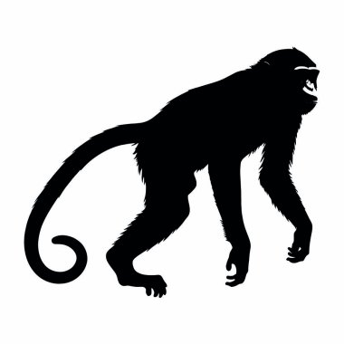 bir maymun silüeti.