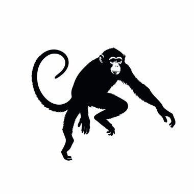 Eller havada siyah maymun beyaz arka planda izole. vektör illüstrasyonu.