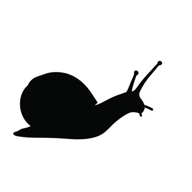 Salyangoz logo tasarım vektör şablonu