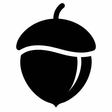 Beyaz arka planı olan siyah bir palamut.