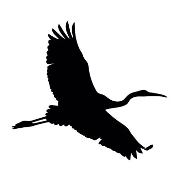 Gökyüzünde kanatları açık uçan bir kuş