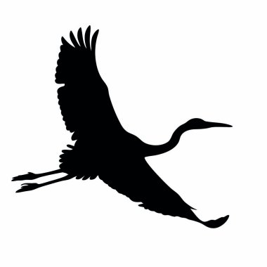 Gökyüzünde kanatları açık uçan bir kuş