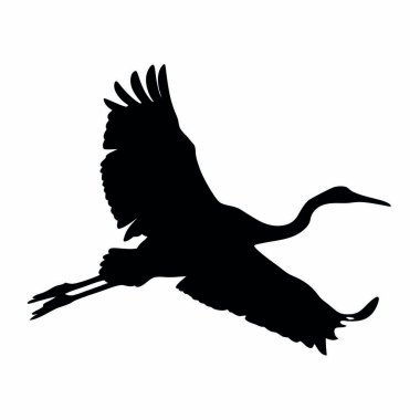 Gökyüzünde kanatları açık uçan bir kuş