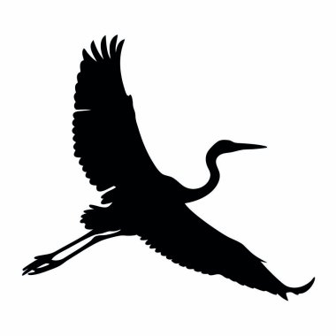 Gökyüzünde kanatları açık uçan bir kuş