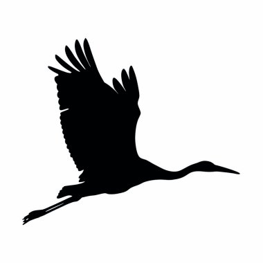 Bir kuşun silueti