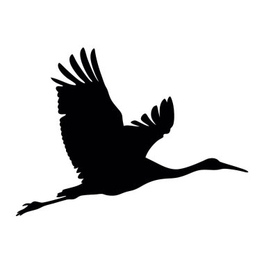 Beyaz arkaplanda kuğunun vektör silueti.