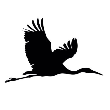Uçan bir kuşun siyah silueti