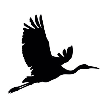 Beyaz arkaplanda bir leyleğin silüeti