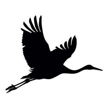 Leyleğin silueti