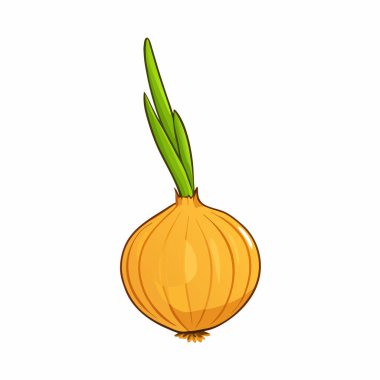 vektör çizim karikatür soğan