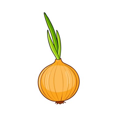 Çizgi film soğanı. Beyaz arkaplanda soğan izole edildi.