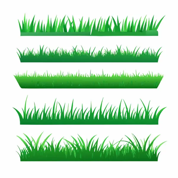 Çimenler beyaz arka planda izole edilmiş. Vektör illüstrasyonu.