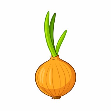 Beyaz arkaplanda izole edilmiş soğan vektörü