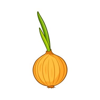 Taze ve ham işaretin vektör tasarımı. Web için taze ve sağlıklı stok sembolü koleksiyonu.