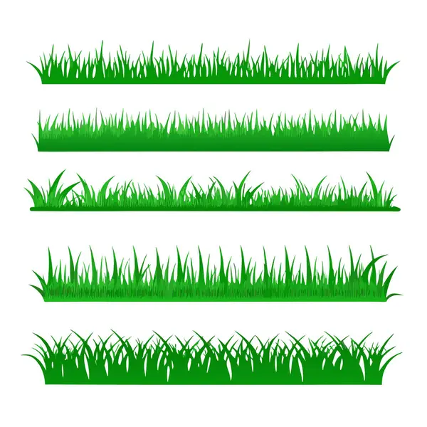 beyaz arkaplanda yeşil çimen