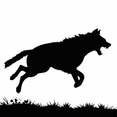 Siyah kurt çimenlerde koşuyor. vektör illüstrasyonu.