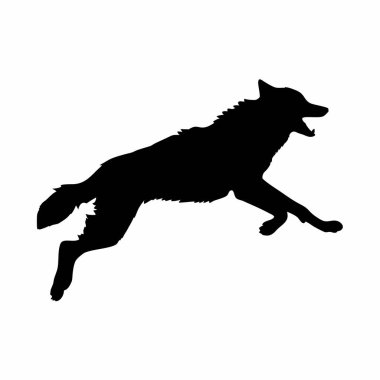 Siyah bir kurt silueti. vektör illüstrasyonu.