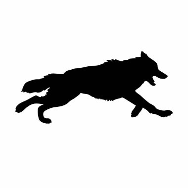 Siyah kurt silueti. Beyaz arkaplanda izole edilmiş vektör illüstrasyonu.