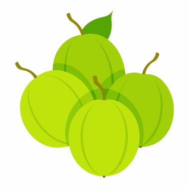 taze ve yeşil meyve, vektör illüstrasyonu