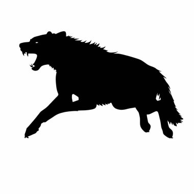 Beyaz arkaplanda siyah kurt silueti, vektör illüstrasyonu