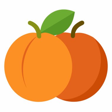 İki mükemmel olgun şeftali, sulu dokularını ve canlı turuncu renklerini yeşil bir yaprağa karşı sergiliyorlar. Yaz temalı tasarımlar, gıda blogları, sağlık ve refah içeriği veya taze, organik ürünleri temsil etmek için ideal. Basit, temiz görüntü mükemmel. 