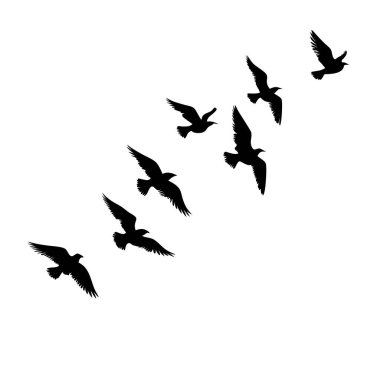 Havada uçuşan kuşların zarif siluetleri, doğadan esinlenilmiş bir elemente ihtiyaç duyan tasarım projeleri için mükemmel. Bu vektör grafiği, minimalist siyah ve beyaz bir zemin üzerinde süzülen bir kuş sürüsünü içeriyor, özgürlük, barış ve jour temalarını iletiyor.