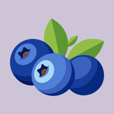 Canlı yaban mersini çizimi, yaz temalı tasarımlar için mükemmel. Bu sulu, olgun böğürtlenler çıtır çıtır detaylarla betimlenir ve çeşitli uygulamalarda kolay kullanım için beyaz bir arkaplanda izole edilir. Gıda blogları, ambalaj için ideal