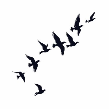 Gökyüzüne doğru uçan bir kuş sürüsünün çarpıcı silueti. Özgürlük, doğa ya da vahşi yaşama ihtiyaç duyan tasarımlar için mükemmel. Yüksek çözünürlüklü resim arka planlar, web siteleri, baskı ve daha fazlası için idealdir. Temiz, zarif ve çok yönlü..