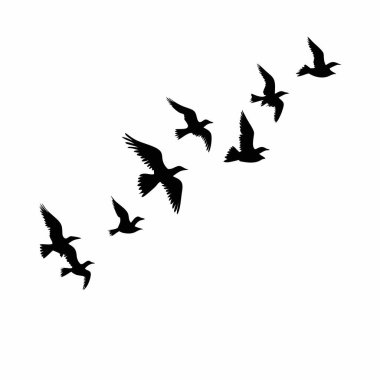 Uçan bir kuş sürüsünün zarif silueti. Minimalist, doğadan esinlenilmiş bir grafiğe ihtiyaç duyan tasarımlar için mükemmel. Logolar, web siteleri ya da baskı projeleri için ideal. Yüksek çözünürlüklü vektör dosyası her boyutta net ve temiz görüntüler sağlar. Siyah ve beyaz.