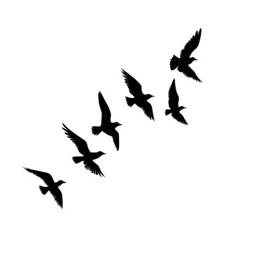 Beyaz arka planda uçan bir kuş sürüsünün zarif silueti. Grafik tasarımı, duvar kağıdı ya da doğadan esinlenilmiş minimalist bir elemente ihtiyaç duyan her proje için mükemmel. Vektör illüstrasyonu, kolayca ölçeklenebilir, ve bir duygu eklemek için ideal 