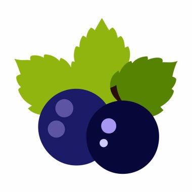 Yeşillik yapraklı taze kuşüzümlerinin canlı bir çizimi. Gıda ambalajı, web siteleri ya da sağlıklı, doğal bir his gerektiren her proje için mükemmel. Yüksek çözünürlüklü vektör grafiği, beyaz arkaplanda izole edilmiş, yazdırma veya dijital kullanım için ideal.  