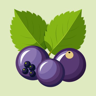 Taze, sulu yaban mersini ve yeşil yaprakların canlı bir çizimi. Yemek blogları, ambalajlar ya da sağlıklı bir yaz tatili gerektiren her proje için mükemmel. Yüksek kalite vektör grafiği, çeşitli biçimlerde mevcut. Yazdırma ve dijital kullanım için ideal.