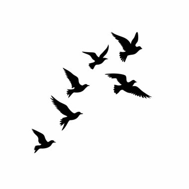 Minimalist, barışçıl ve sembolik bir imaja ihtiyaç duyan tasarım projeleri için mükemmel. Özgürlük, umut ve yolculuk temalarını taşıyan bir arka plan, duvar kağıdı ya da tasarım unsuru olarak idealdir. Yüksek çözünürlüklü vec