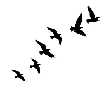 Gökyüzünde zarif bir şekilde süzülen siluet içindeki bir kuş sürüsünün zarif siyah ve beyaz vektör çizimi. Doğadan esinlenilmiş, minimalist bir hisse ihtiyaç duyan tasarımlar için mükemmel. Özgürlük, yolculuk ve göçü temsil ediyor. Logolar ve web siteleri için ideal, 