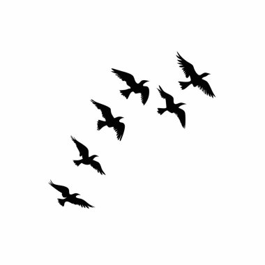 Zarif uçuşlarda bir kuş sürüsünün zarif siyah silueti. Minimalist, doğadan esinlenilmiş bir unsur gerektiren tasarımlar için mükemmel. Yüksek çözünürlüklü vektör grafiği arka planlar, kalıplar ya da standalon tasarım unsuru olarak idealdir. Basit ama yine de...