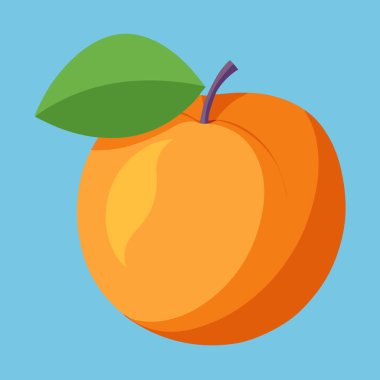 Yeşil yapraklı, tek ve olgun bir kayısı illüstrasyonunun canlı vektör çizimi. Sağlıklı gıda markaları, yaz tasarımları ya da basit, minimalist tasarım elementleri için mükemmel. Mavi bir arkaplanda izole edilmiş, bu oran çeşitli projeler için idealdir