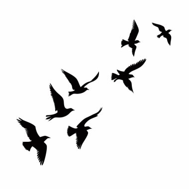 Beyaz arka planda uçan bir kuş sürüsünün zarif vektör silueti. Grafik tasarım projeleri, logolar ya da doğadan esinlenilmiş minimalist bir elemente ihtiyaç duyan her tasarım için mükemmel. Basit, siyah ve beyaz sanat eserleri özgürlük ve hareket