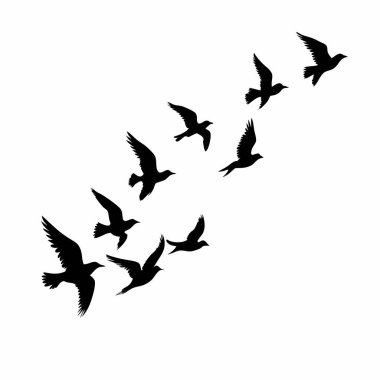 Uçan bir kuş sürüsünün zarif silueti, minimalist tasarımlar için mükemmel. Arkaplan, duvar kağıdı ya da tasarım elemanı olarak ideal bir vektör grafiği. Temiz çizgiler ve basit kompozisyon özgürlük ve sükuneti çağrıştırıyor. Siyah ve beyaz