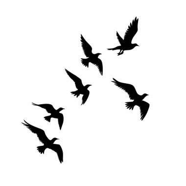 Uçan bir kuş sürüsünün zarif siluetleri, minimalist, doğadan esinlenilmiş bir dokunuşa ihtiyaç duyan tasarım projeleri için mükemmel. Geçmişler, kalıplar ya da standart grafik elementler için idealdir. Yüksek çözünürlüklü vektör dosyası net kaliteyi sağlarName