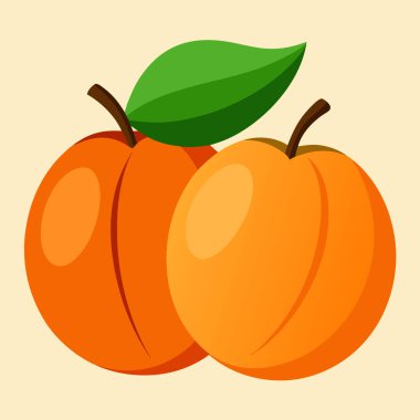 İki canlı, olgun kayısı, meyve bahçesinden yeni toplanmış, sulu bir tatlılıkla parıldıyor. Sağlıklı yemek, yaz tatlısı ya da taze meyve sergilenmesi için mükemmel. Gıda blogları, ambalaj ve mutfak tasarımı için yüksek kaliteli vektör çizimi ideal