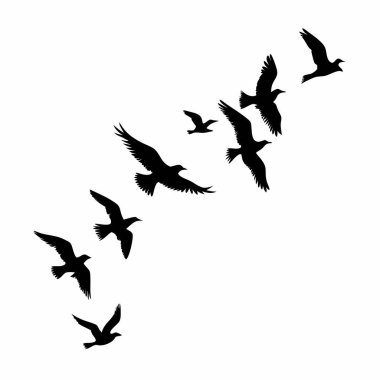 Uçan bir kuş sürüsünün zarif silueti grafik tasarım, dövme ya da minimalist bir arka plan için mükemmel. Siyah ve beyaz tasarım özgürlüğü ve doğayı temsil eden basit ama güçlü bir görüntü sunuyor. Posterler, duvar kağıtları ve V için ideal.
