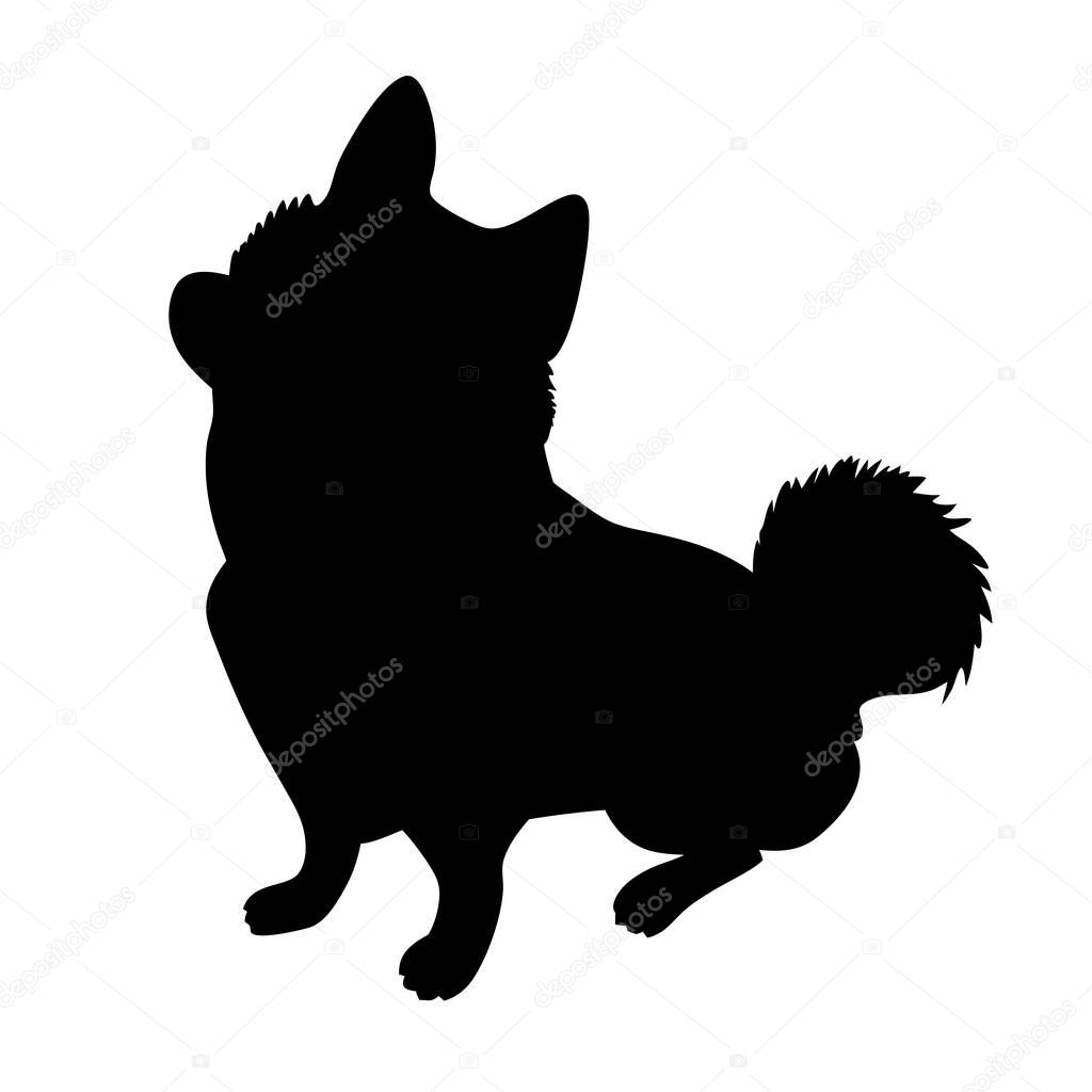 A charming silhouette of a Pomeranian dog sitting in profile view.  Perfect for pet-related designs, logos, or as a graphic element.  High-resolution vector illustration, easily scalable for various applications.  Black and white, clean design. Ideal