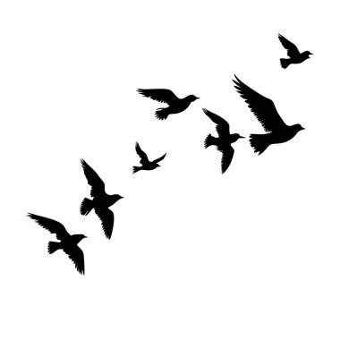 Uçan bir kuş sürüsünün zarif silueti, logo tasarımı, grafik tasarım projeleri için mükemmel, ya da özgürlük ve sükunet duyguları uyandırmak için. Minimalist siyah-beyaz vektör çizimi, beyaz arka planda izole edilmiş. Yazdırma ya da ağ için ideal 