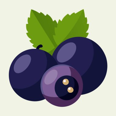 Taze, sulu, yeşil yapraklı siyah frenk üzümlerinin canlı görüntüsü, yemek blogları, ambalajlar veya tarif siteleri için mükemmel. Yüksek çözünürlüklü görüntü, çeşitli tasarım projeleri için ideal, temiz beyaz bir arkaplan üzerinde izole üzümlü üzümler içerir. Basit.