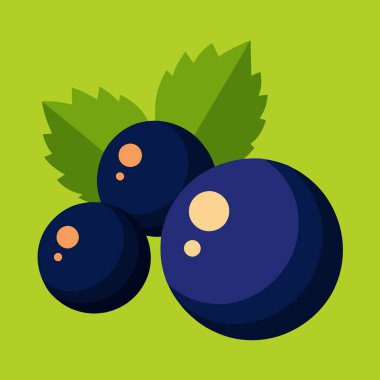 Taze, sulu, yemyeşil yapraklı kuşüzümlerin canlı görüntüsü. Gıda blogları, ambalajlama, sağlık ve sağlık siteleri ya da doğal ve sağlıklı hissetmeye ihtiyaç duyan her proje için mükemmel. Yüksek çözünürlüklü vektör grafiği, eas için beyaz arkaplan üzerinde izole