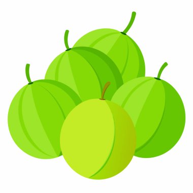 Yaprak beyaz zemin üzerine Yeşil üzüm